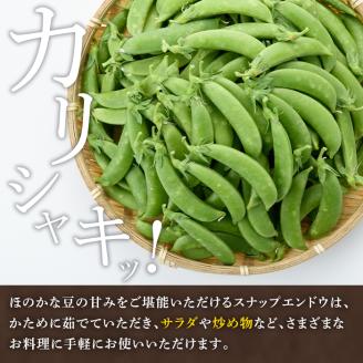 ＜2026年1月以降順次発送予定＞スナップエンドウ(1kg) 旬 国産 豆 マメ まめ 野菜 セット 詰め合わせ 数量限定 サラダ 炒め物【黒坂青果】akn049-01