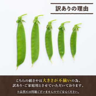 ＜2026年1月以降順次発送予定＞ご家庭用！訳あり！「絹さや」(1kg) 旬 国産 豆 マメ 絹さや 絹サヤ きぬさや 野菜 セット 詰め合わせ 訳アリ 数量限定 期間限定【黒坂青果】akn049-04