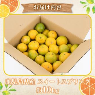 ＜2025年12月中旬以降順次発送予定＞訳ありスイートスプリング(約10kg) 鹿児島県 阿久根市 フルーツ 果物 デザート 柑橘 甘味 果肉 果汁【松永青果】akn053-11