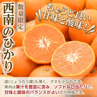 ＜2025年12月以降順次発送予定＞＜期間・数量限定＞西南のひかり(約5kg) 国産 鹿児島県 阿久根市 果実 果物 フルーツ 柑橘 みかん ミカン デザート 酸味 甘味 期間限定 数量限定【桐野柑橘株式会社】akn070-07