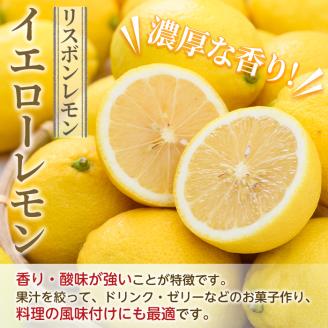 ＜2025年12月中旬以降順次発送予定＞数量限定！リスボンイエローレモン(5kg) 国産 果実 果物 リスボンレモン フルーツ 檸檬 柑橘 デザート 期間限定【桐野柑橘株式会社】akn070-15