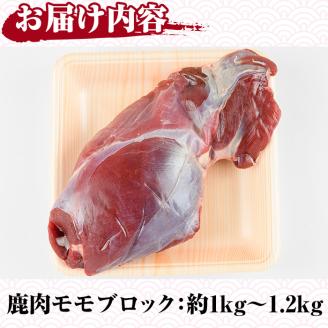 阿久根産鹿肉モモブロック(約1kg～1.2kg)煮込み料理 バーベキュー BBQ ブロック肉 ジビエ しか肉 もみじ もみじ鍋 低カロリー 高たんぱく ダイエット 鉄分 山の幸【一般社団法人いかくら阿久根】akn076-01