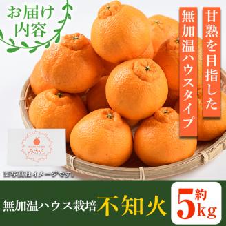 ＜2026年1月上旬以降順次発送予定＞数量限定！鹿児島県産無加温ハウス栽培 不知火(計約5kg：大将季) 柑橘 果物 くだもの フルーツ 旬 しらぬい シラヌイ ハウス栽培 無加温 数量限定 期間限定【三笠農業生産】akn051-12