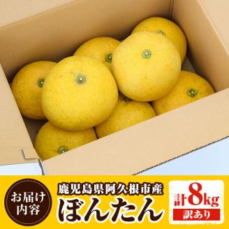 ＜2025年12月中旬以降順次発送予定＞訳あり！鹿児島県阿久根市産ボンタン(計8kg)国産 ぼんたん 文旦 柑橘 果物 フルーツ【松永青果】akn053-02