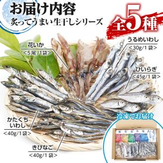 鹿児島県阿久根市産！生干しシリーズ(5種)国産 生干し おつまみ おかず 魚介 魚貝 海産物 干物 ひもの【マルフク川畑水産】akn029-03