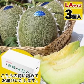 ＜2026年6月以降順次発送予定＞鹿児島県産！南国グリーンメロン(LAサイズ×3個) メロン めろん 果物 スイーツ デザート フルーツ【あくね旬の店いきいき館】akn015-16