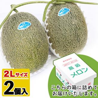 ＜2026年6月以降順次発送予定＞鹿児島県産！南国グリーンメロン(2Lサイズ×2個) メロン めろん 果物 スイーツ デザート フルーツ【あくね旬の店いきいき館】akn015-17