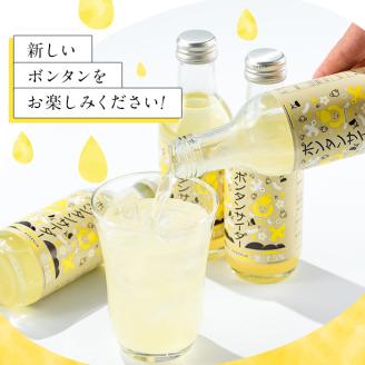 ボンタンサイダー(12本)一つ一つ手作業で皮を剥き、果汁をしぼり仕上げました！ぼんたん ボンタン 文旦 サイダー ジュース 飲み物 飲料 果汁 フルーツ 果物 炭酸【ボンタンプロジェクト】akn055-01