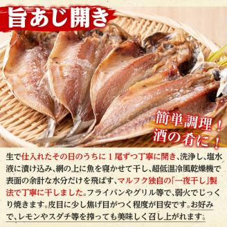 旨あじ開き一夜干し(計16枚・4尾入×4袋)国産 魚介 干物 ひもの 乾物 鯵 セット おかず おつまみ【マルフク川畑水産】akn029-09