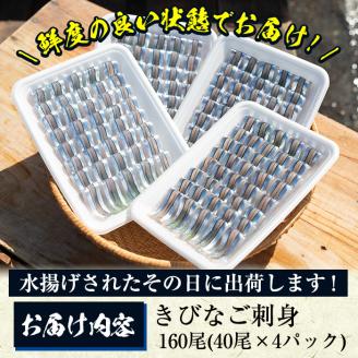 鹿児島県阿久根産 天然きびなごのお刺身(計160尾・40尾×4パック)国産 魚介 魚貝 海産物 鮮魚 冷蔵配送 キビナゴ 海鮮丼 食品 セット 詰め合わせ 水産加工品【濱崎魚類】akn023-02