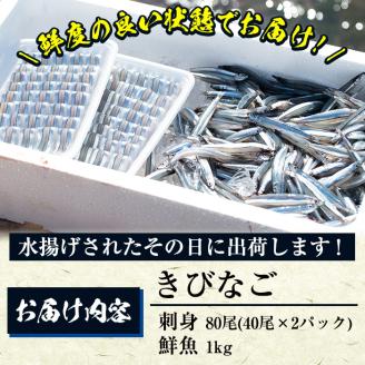 鹿児島県阿久根産！天然きびなごのお刺身(40尾×2パック)と鮮魚(1kg)セット 国産 九州産 鹿児島産 鮮魚 魚介 セット【濱崎魚類】akn023-03