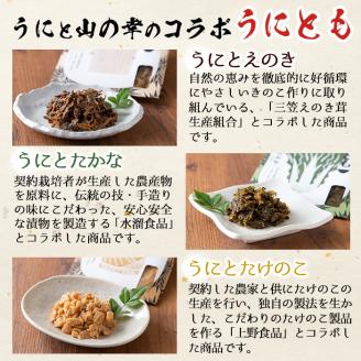 ＜鹿児島県産うに使用＞ご飯のお供「うにとも」3種セット(計4袋・各50g)国産 ウニ 雲丹 えのき たかな たけのこ おかず 惣菜 常温【尾塚水産】akn004-05