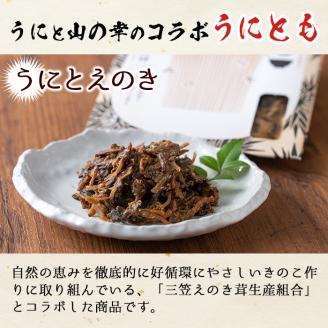 ＜鹿児島県産うに使用＞ご飯のお供「うにとも」うにとえのき(50g×4袋)国産 ウニ 雲丹 えのき きのこ キノコ おかず 惣菜 常温【尾塚水産】akn004-06