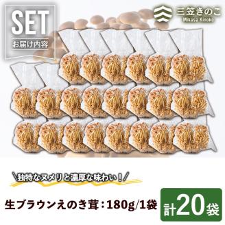 生ブラウンえのき茸(20袋・計3.6kg)国産 エノキ きのこ 茸 キノコ 個包装【三笠えのき茸生産組合】akn010-09