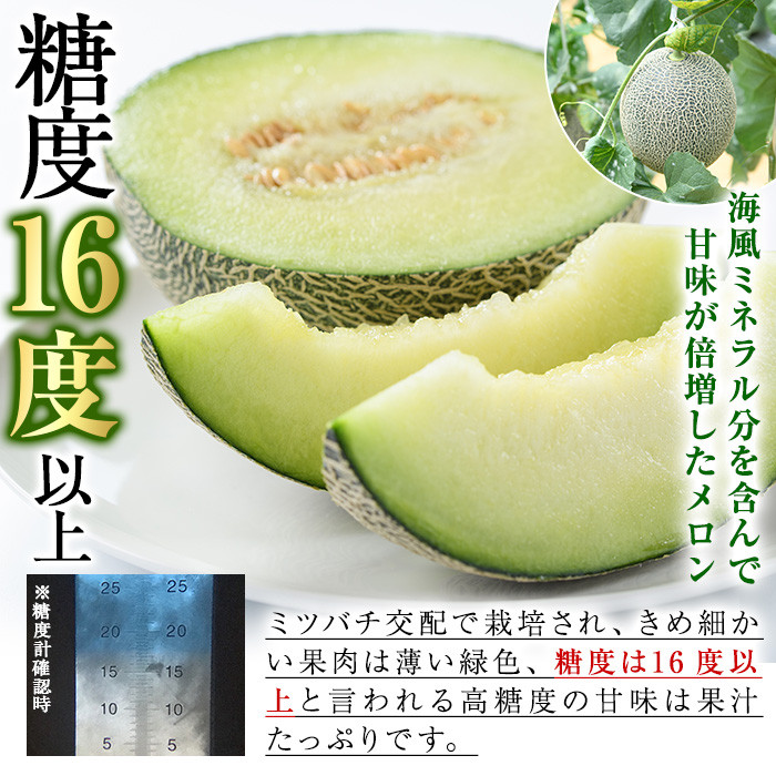 ＜2026年6月中旬以降順次発送予定＞数量限定！鹿児島県産南国グリーンメロン(2Lサイズ×2個) メロン フルーツ 果物 鹿児島 国産 青肉 ハウス ハウス栽培 期間限定 2L【東新グリーンファーム合同会社】akn062-08