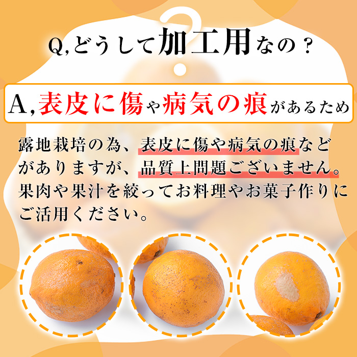 ＜2026年1月中旬以降順次発送予定＞数量限定！加工用・露地マイヤーイエローレモン(2kg) 国産 果実 果物 レモン イエローレモン フルーツ 檸檬 柑橘 デザート 期間限定【桐野柑橘株式会社】akn070-02