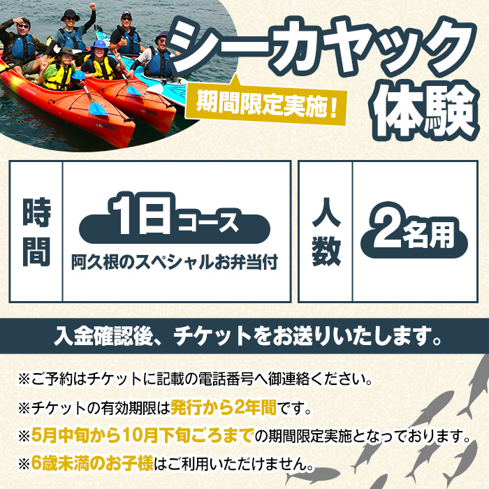 期間限定実施 シーカヤック体験チケット(1日/2名) 阿久根 シーカヤック アウトドア アクティビティ 自然 体験 ツアー チケット マリンスポーツ【パズル】akn098-13