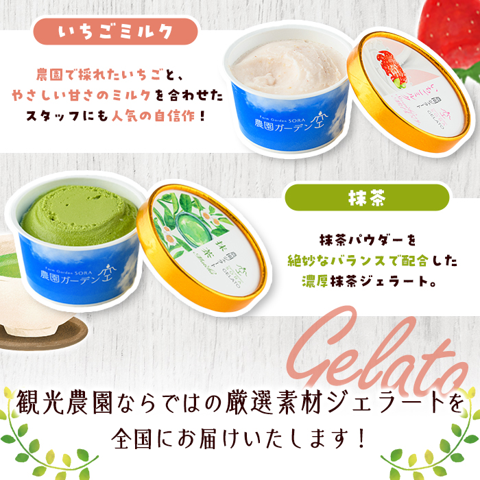 農園ガーデン空 楽園のジェラートセット(90ml×6個) ジェラート アイス いちご いちごミルク レモン ブルーベリー 抹茶 デザート スイーツ おやつ 夏 鹿児島 バラエティ バレンタイン ホワイトデー【農園ガーデン空】akn026-12