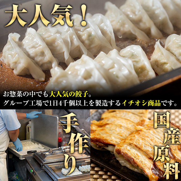 国産豚肉使用！手作りショウガ餃子(計100個・10個×10パック、たれ付き) 餃子 ぎょうざ ギョウザ ギョーザ しょうが 生姜 豚肉 おかず お惣菜【スーパーよしだ】akn058-07