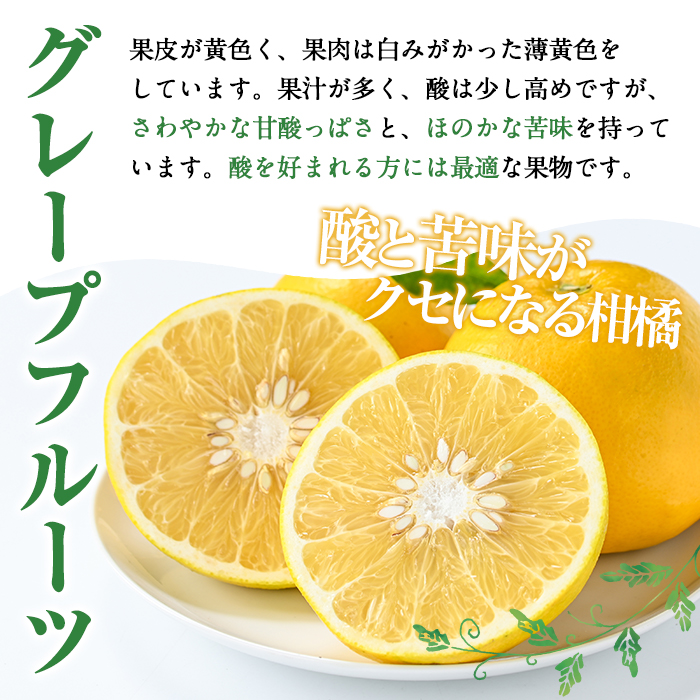 ＜2026年2月以降順次発送＞数量限定！グレープフルーツ(約4kg)国産 果実 果物 フルーツ 柑橘 デザート 期間限定【桐野柑橘株式会社】akn070-04