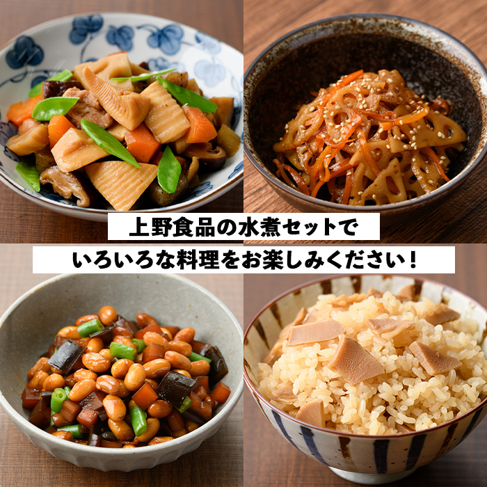 たけのこ・れんこん・大豆の水煮(合計10袋)国産 九州産 筍 水煮 蓮根 野菜 使い切り 小分け 個包装【上野食品】akn008-17