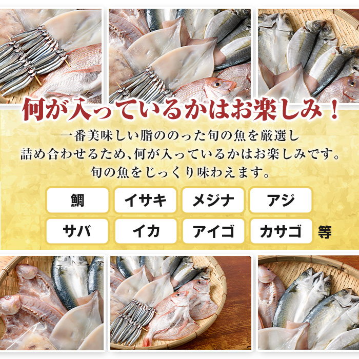 数量限定！阿久根市産の旬の一夜干しグルメ＜A＞セット(鯛・アジ・イカ・サバなど)国産 鮮魚 詰め合わせ お楽しみ 海の幸 魚介類 干物 海鮮【さるがく水産】akn028-06
