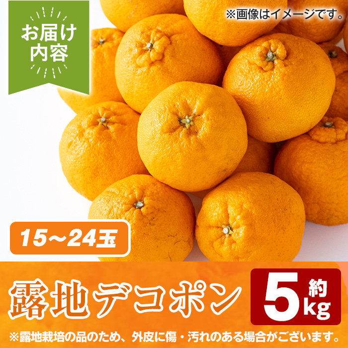 ＜2026年3月以降順次発送予定＞鹿児島県産！露地デコポン(約5kg・15～24玉) 果物 冬 春 柑橘 みかん 蜜柑 フルーツ 期間限定 数量限定【鹿児島いずみ農業協同組合】akn018-10