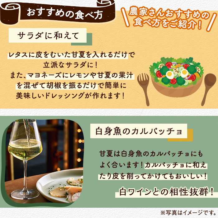 ＜2026年2月上旬以降発送予定＞数量限定！有機JAS 甘夏(約10kg) 国産 果実 果物 フルーツ 柑橘 デザート 期間限定 有機栽培【中村農場】akn084-05