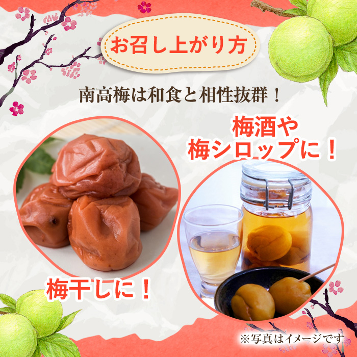 ＜2026年5月下旬以降順次発送予定＞訳あり！鹿児島県産 南高梅(約4kg) 国産 果物 梅 うめ ウメ ナンコウウメ 和食 梅干し 梅酒 梅シロップ 訳アリ サイズ混合 期間限定【松永青果】akn053-09