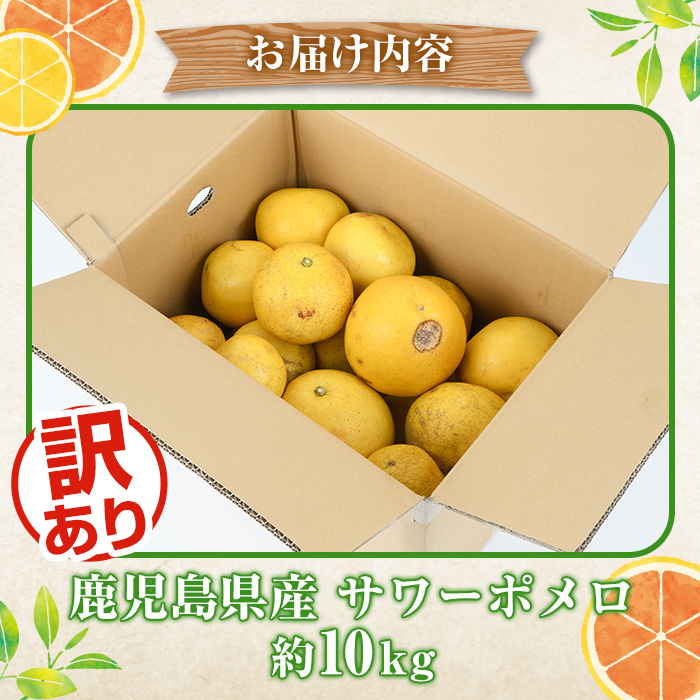＜2026年1月以降順次発送予定＞訳ありサワーポメロ(約10kg) 国産 果物 フルーツ 柑橘 甘味 酸味 デザート おやつ【松永青果】akn053-16