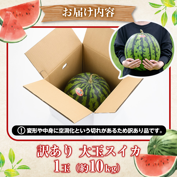 ＜2026年6月中旬以降順次発送予定＞訳あり！鹿児島県産 大玉スイカ(1玉・約10kg) 国産 果物 スイカ すいか 西瓜 フルーツ スイーツ スムージー ジュース【松永青果】akn053-21