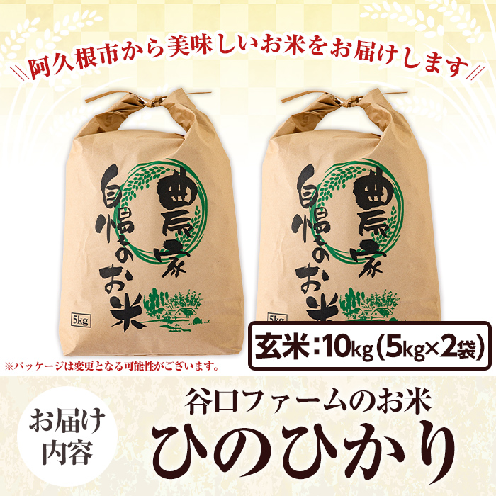 鹿児島県産の玄米 ひのひかり(計10kg・5kg×2袋) 国産 玄米 自社精米 ご飯 おこめ おにぎり お弁当 ひのひかり【谷口ファーム】akn064-09
