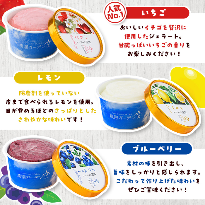 楽園のジェラート3種セット(合計9個) スイーツ デザート おやつ ジェラート アイス 夏 いちご レモン ブルーベリー 自社農園【農園ガーデン空】akn026-05