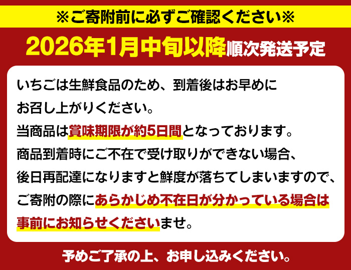 ＜2026年1月中旬以降順次発送予定＞鹿児島県産いちご(さがほのか「秀大」・計約1.4kg・40粒×2箱) 鹿児島 阿久根 果物 フルーツ イチゴ いちご 苺 さがほのか デザート おやつ 期間限定【鹿児島いずみ農業協同組合】akn018-21