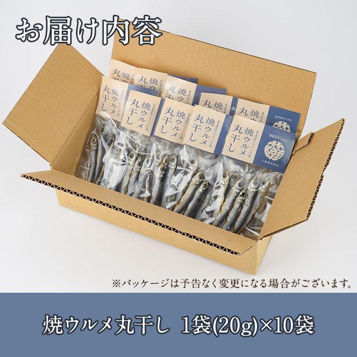 焼ウルメ丸干し10袋セット(20g×10袋)海産物 いわし 鰯 ウルメイワシ おつまみ おかず【下園薩男商店】akn086-07