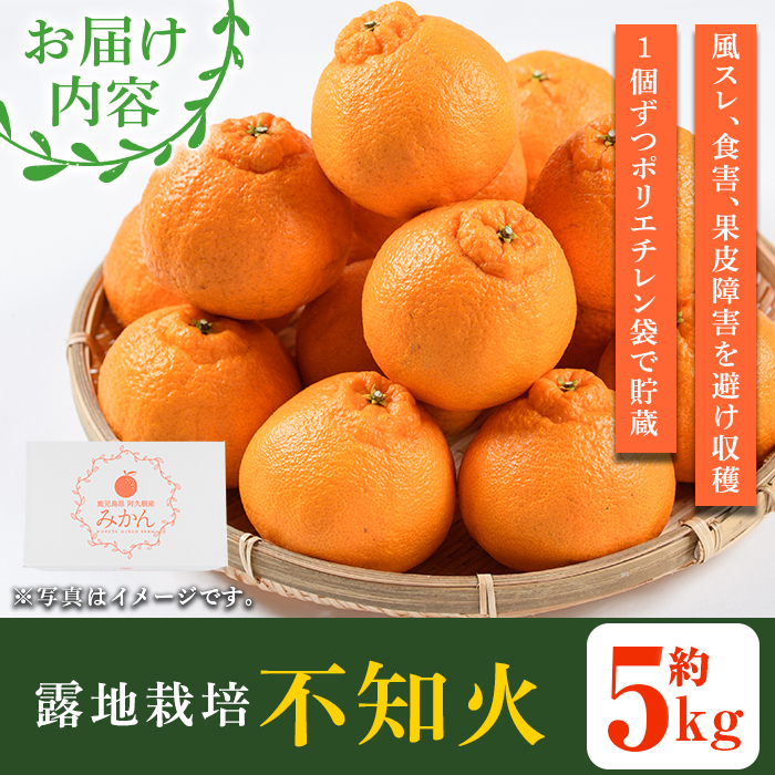 ＜2026年3月上旬以降順次発送予定＞数量限定！鹿児島県産 露地栽培の不知火(計約5kg：大将季) 国産 みかん ミカン 柑橘 フルーツ 果物 旬 デザート 数量限定 期間限定 露地 阿久根市産 しらぬい シラヌイ【三笠農業生産】akn051-10