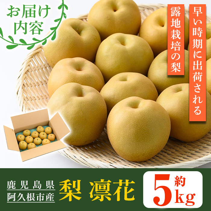 ＜2026年7月下旬以降順次発送予定＞数量限定！鹿児島県産梨＜品種：凛夏＞(約5kg・10～20個前後)国産 果物 くだもの フルーツ 旬 果実 ナシ なし デザート 露地栽培 りんか 凛夏 期間限定【三笠農業生産】akn051-08