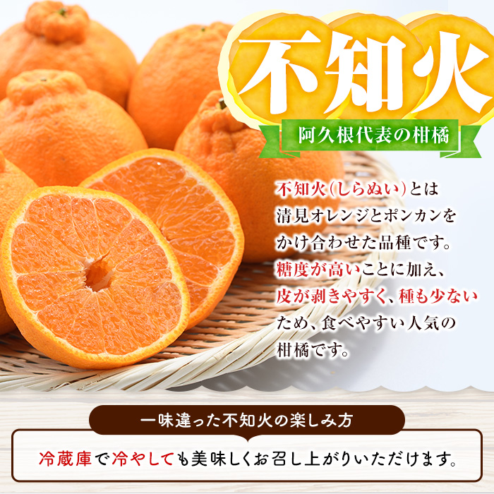 ＜2026年1月以降順次発送予定＞鹿児島県阿久根市産！特別選定 柑橘セット(ボンタン3個・不知火3kg) 国産 果物 フルーツ かんきつ ノーワックス【松永青果】akn053-26