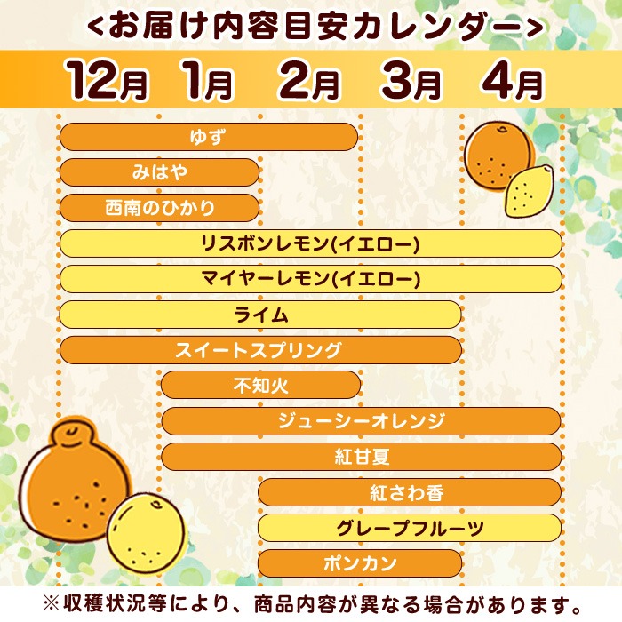 ＜2026年4月発送分！＞旬の柑橘詰合せセット (約10kg) 国産 鹿児島県 阿久根市 果実 果物 フルーツ 柑橘 みかん ミカン 旬 詰め合わせ セット【桐野柑橘株式会社】akn070-16-m04