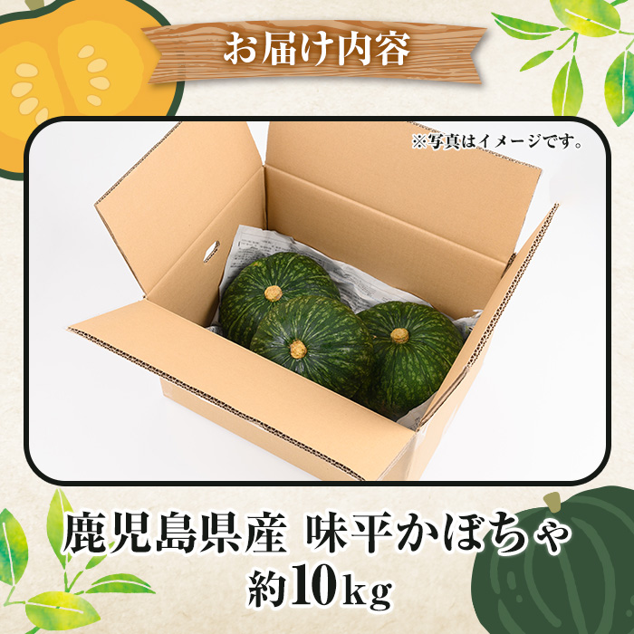 ＜2026年5月上旬以降順次発送予定＞鹿児島県産 味平かぼちゃ(約10kg) 国産 野菜 かぼちゃ カボチャ 南瓜 煮物 天ぷら バーベキュー BBQ スイーツ お菓子【松永青果】akn053-32