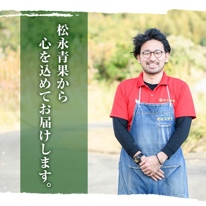 ＜2026年6月下旬以降順次発送予定＞数量限定！鹿児島県産南国グリーンメロン(6玉・計6kg) 数量限定 メロン フルーツ 青肉 果物 くだもの 果実 国産 九州産 鹿児島県産【松永青果】akn053-33