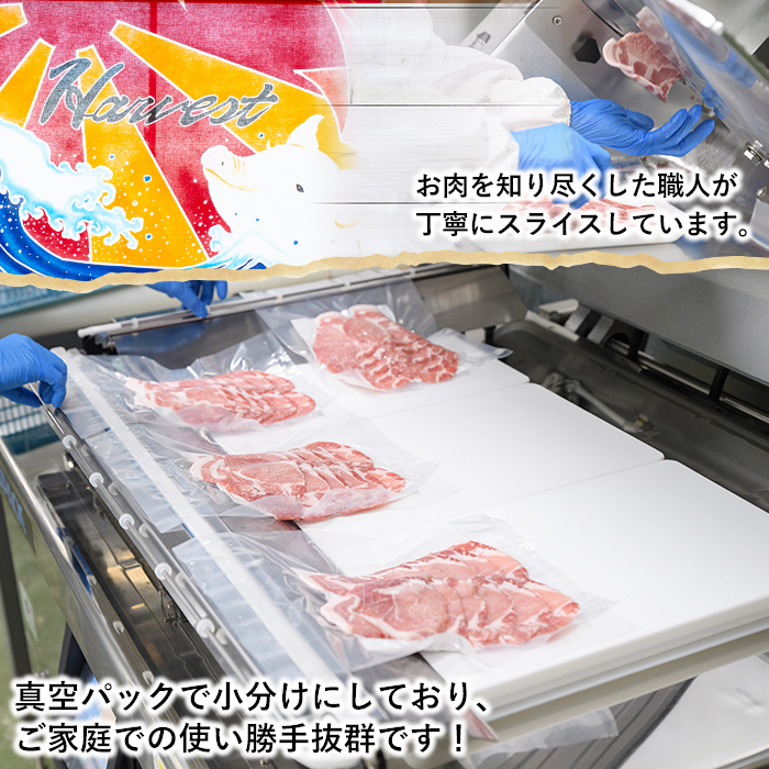 ＜定期便・全3回＞豚肉ウデモモ切り落とし(計6kg・1パック250g) 小分け 国産 豚肉 豚小間 真空パック 家庭用 豚こま 定期便 スライス 冷凍配送 個包装 切り落し 切落し すき焼き しゃぶしゃぶ セット 詰め合わせ 数量限定【三九】akn006-11