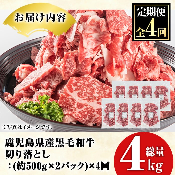 ＜定期便・全4回(隔月)＞鹿児島県産！黒毛和牛切り落とし定期便(総量4kg)国産 九州産 鹿児島産 牛肉 国産牛 切り落とし 切落し 赤身 小分け 頒布会【スターゼン】akn042-24