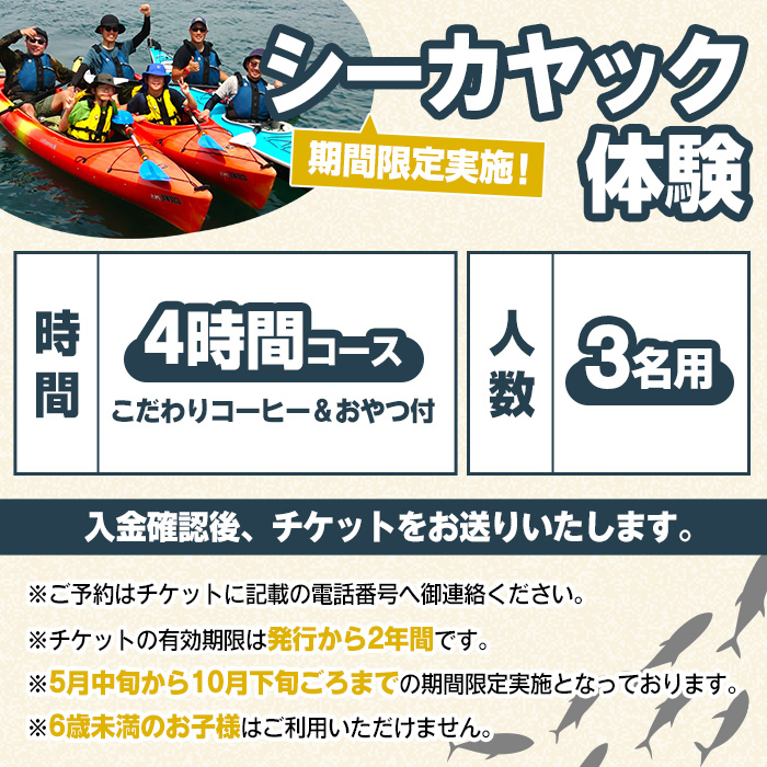 期間限定実施 シーカヤック体験チケット(4時間/3名) 阿久根 シーカヤック アウトドア アクティビティ 自然 体験 ツアー チケット マリンスポーツ【パズル】akn098-11