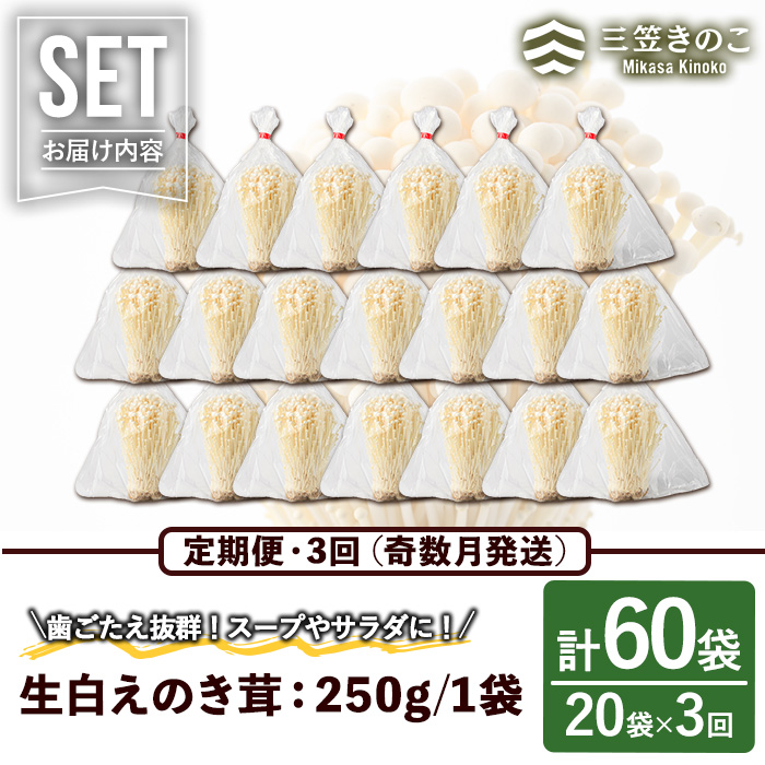 ＜定期便(奇数月)・全3回＞生白えのき茸(計60袋・20袋×3回)国産 エノキ きのこ キノコ 個包装【三笠えのき茸生産組合】akn010-23