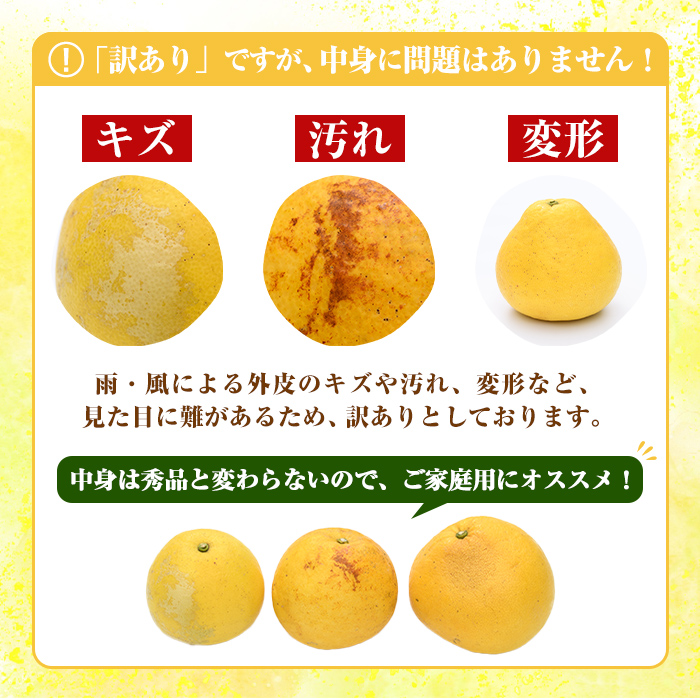 訳あり！まなべみかん園のサワーポメロ (約9.5kg) 国産 鹿児島県産 阿久根市産 柑橘類 みかん ミカン 蜜柑 果物 フルーツ サワーポメロ 期間限定 数量限定 デザート 訳アリ 【有限会社まなべみかん園】akn034-08
