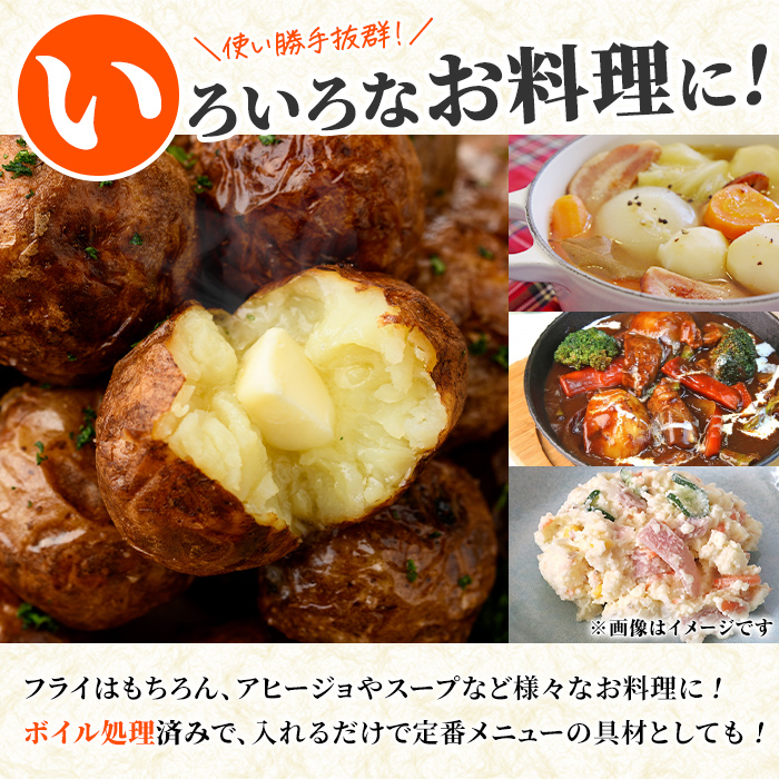 冷凍じゃがいも (計3.7kg・250g×15袋) ジャガイモ ニシユタカ にしゆたか 冷凍 ボイル 小分け 小玉 小さめ フライ アヒージョ スープ カレー シチュー 簡単調理 お弁当 おかず 野菜 赤土 【有限会社やまた水産食品】akn036-06