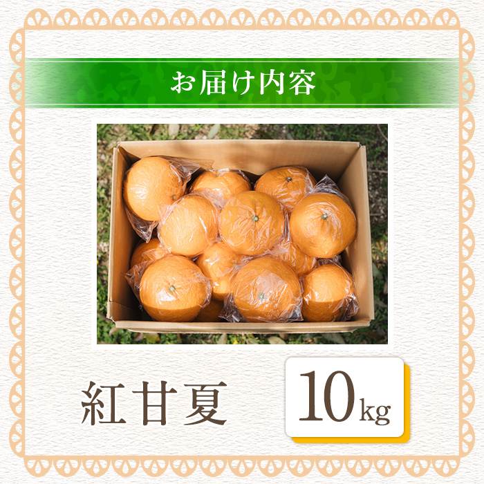 ＜2026年3月中旬以降順次発送予定＞数量限定！鹿児島県産 紅甘夏 (10kg・2L) 柑橘 フルーツ 果物 国産 みかん 期間限定 数量限定 ベニアマナツ ミカン 旬 【株式会社イロドリ】akn069-10
