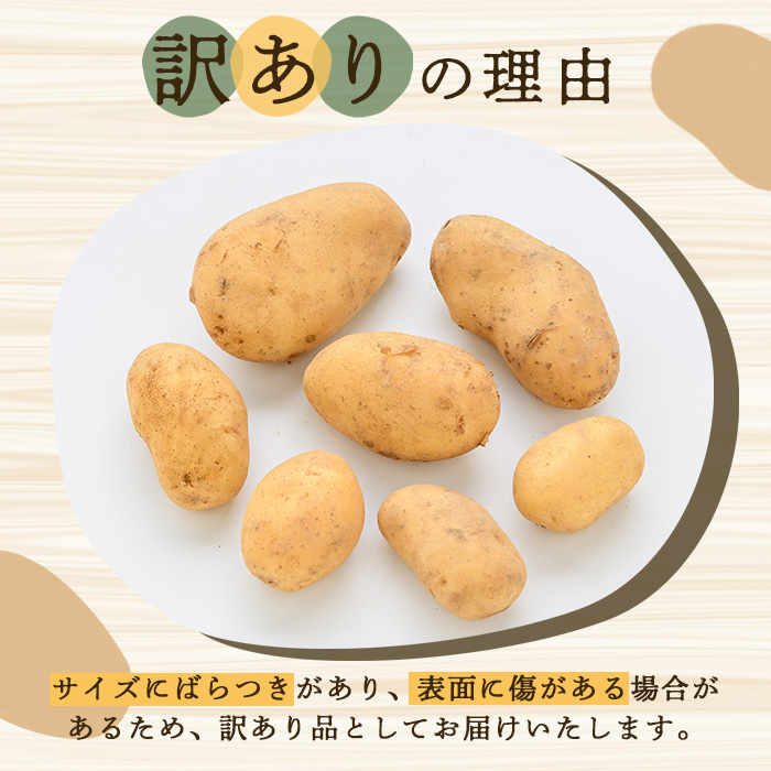 ＜先行予約受付中！2026年5月下旬以降順次発送予定＞訳あり！じゃがいも「メークイン」(約10kg) じゃがいも ジャガイモ 芋 国産 野菜 期間限定 数量限定【古田果樹園】akn093-02
