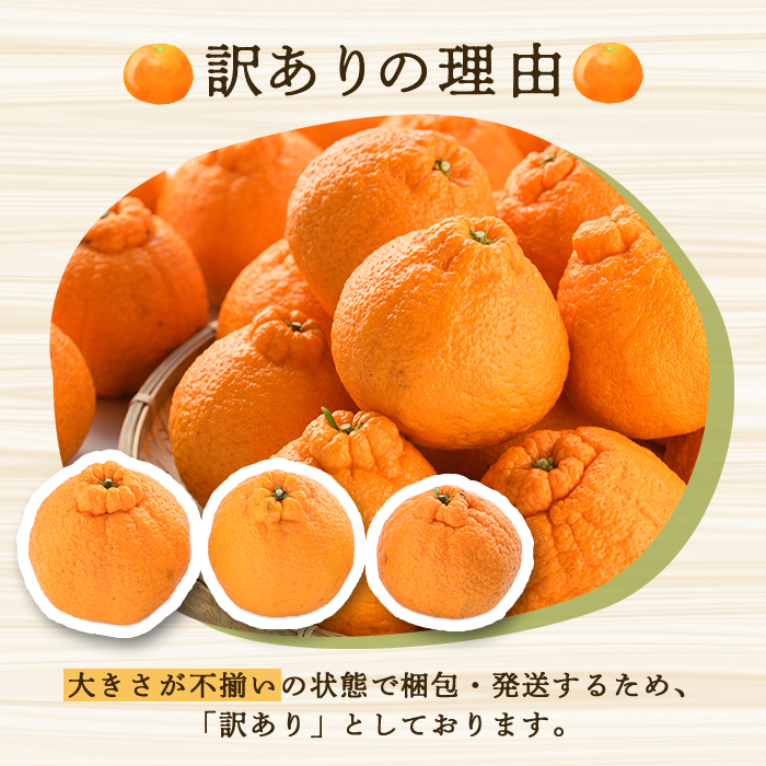 ＜2026年3月上旬以降順次発送予定＞訳あり！露地栽培の不知火(4kg) 国産 不知火 しらぬい 柑橘 果物 フルーツ デザート 露地 果実 期間限定 数量限定 【古田果樹園】akn093-03